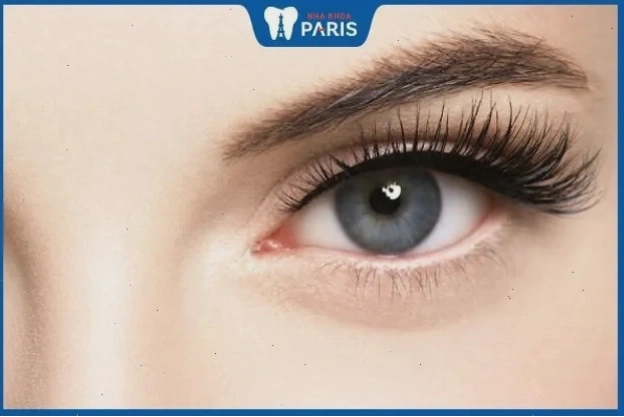 Ánh mắt sáng thể hiện sức sống và trí tuệ