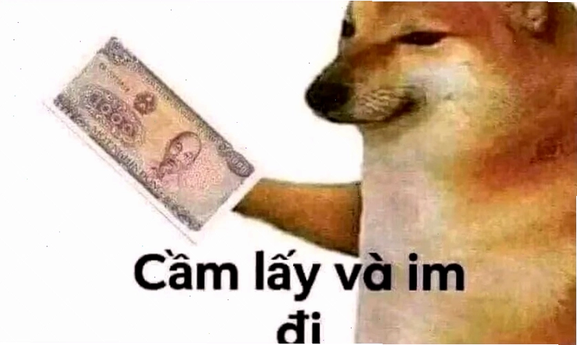 Ảnh meme chó con với đôi mắt to tròn