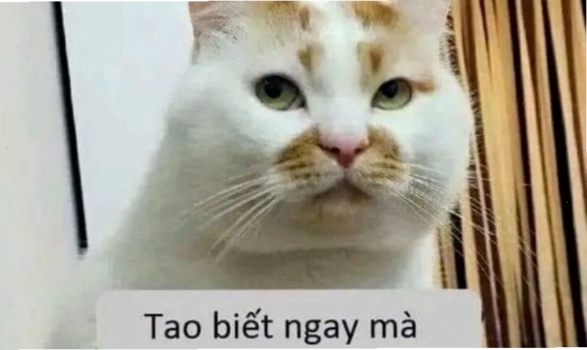 Ảnh meme hài hước từ tình huống đời thường