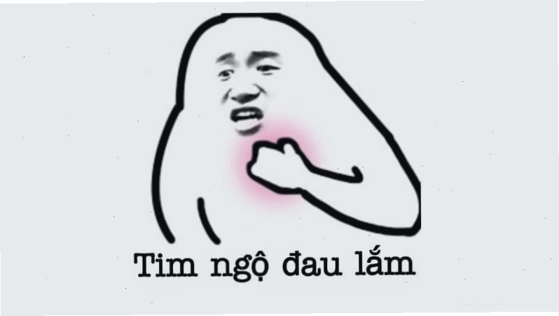 Ảnh meme hài hước với chú chó biểu cảm độc đáo