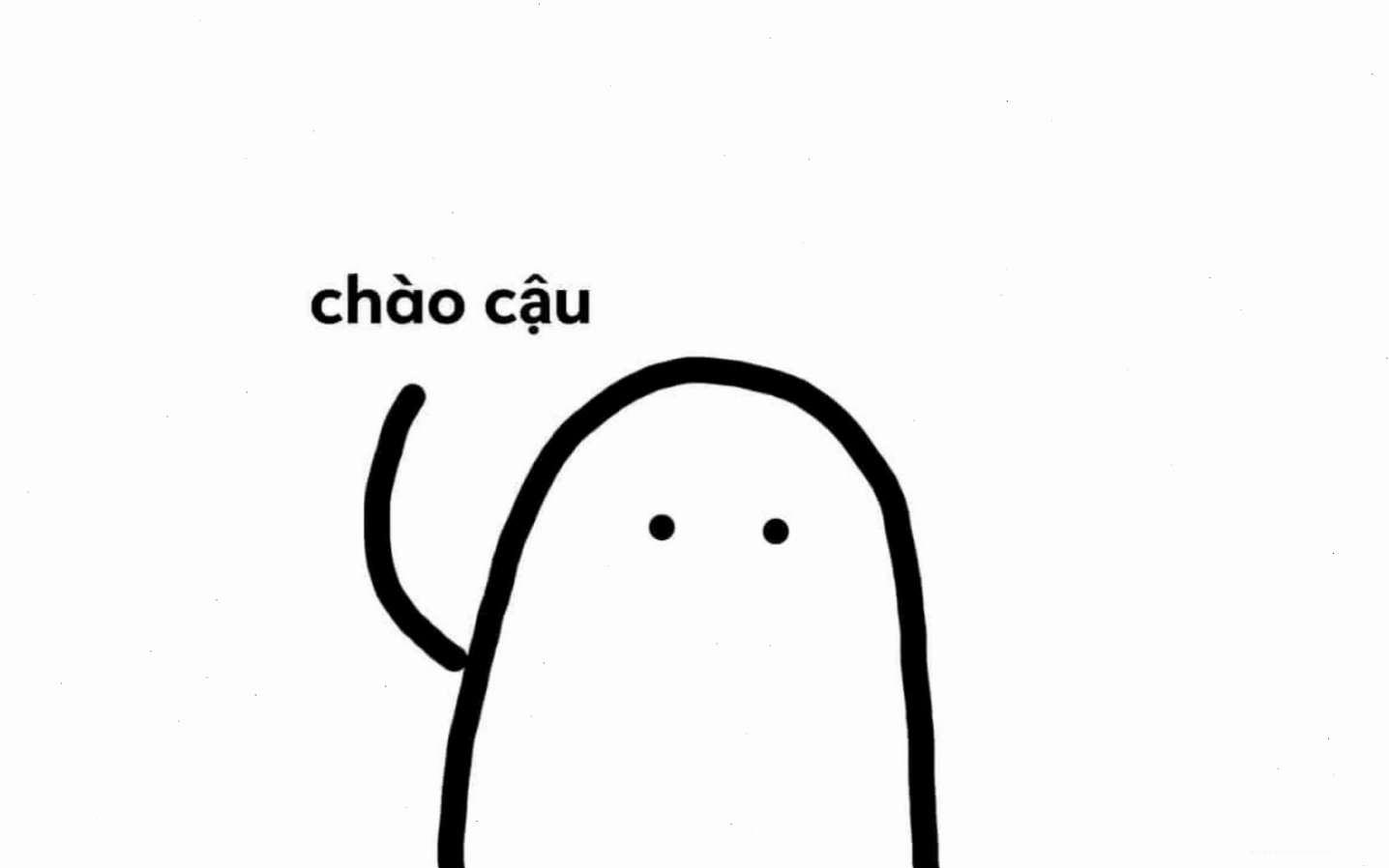 Ảnh meme mèo bựa với biểu cảm hài hước khó đỡ