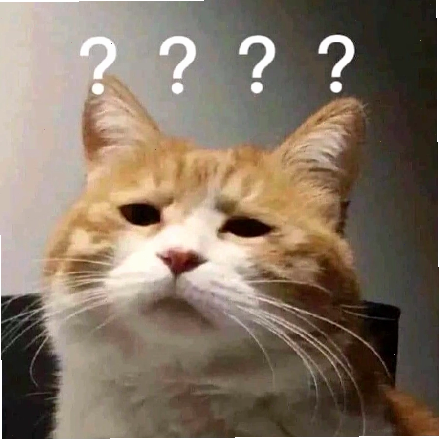 Ảnh mèo meme với biểu cảm ngái ngủ