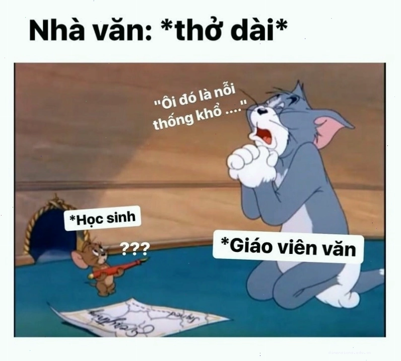 Ảnh mèo Tom đang lim dim ngủ