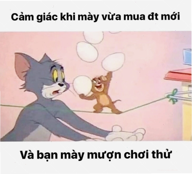 Ảnh mèo Tom hài hước thể hiện sự thích thú