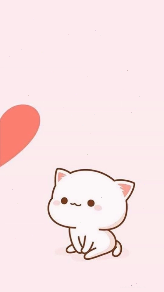 Ảnh nền đôi mèo cute chất lượng cao