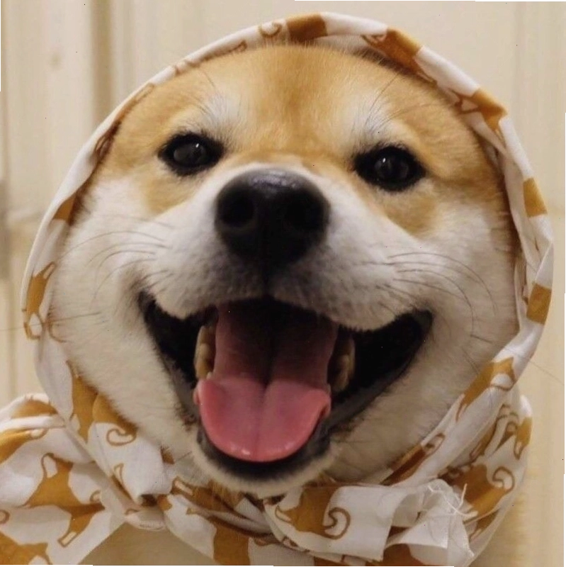 Avatar chó Shiba phong cách anime dễ thương