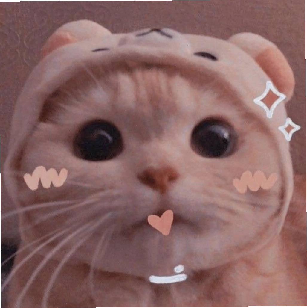 Avatar mèo đôi cho cặp đôi