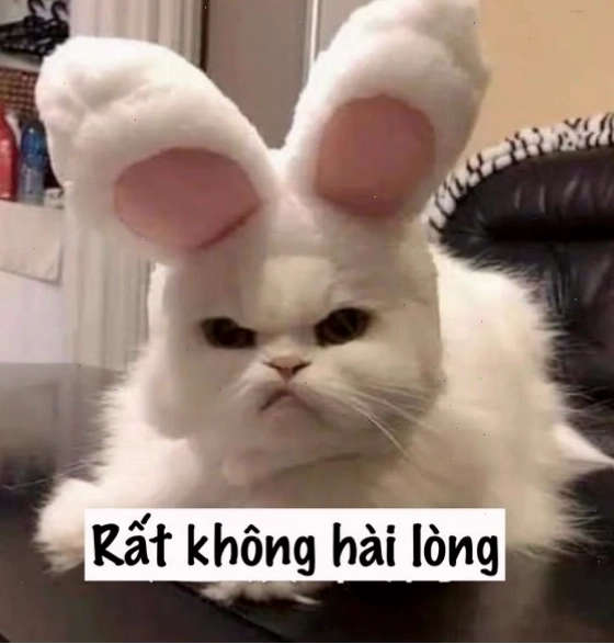 Avatar mèo giận dỗi và xịu mặt