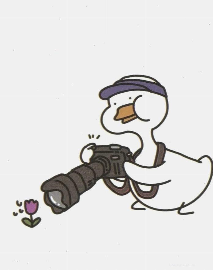 Avatar vịt vàng chibi dễ thương