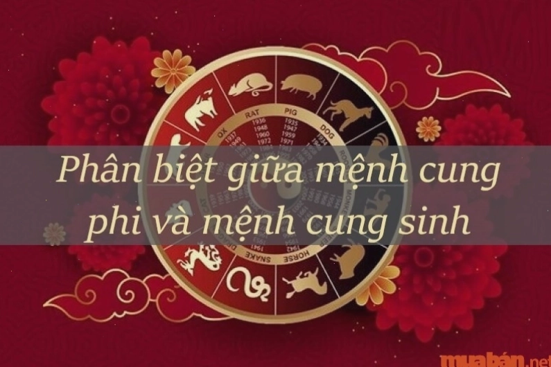 Bảng màu hợp mệnh theo phong thủy