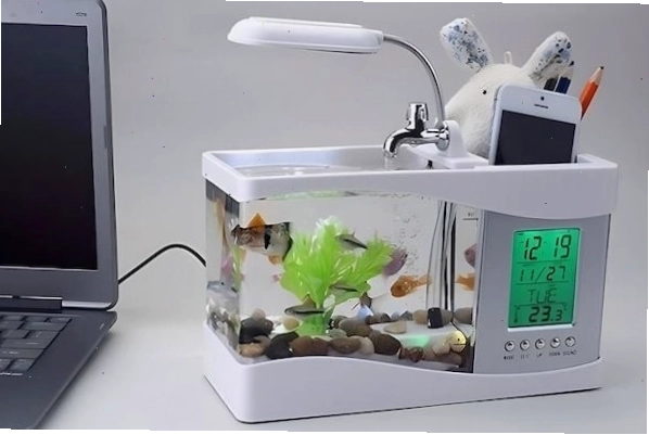 Bể cá cảnh mini trang trí bàn làm việc mang lại tài lộc