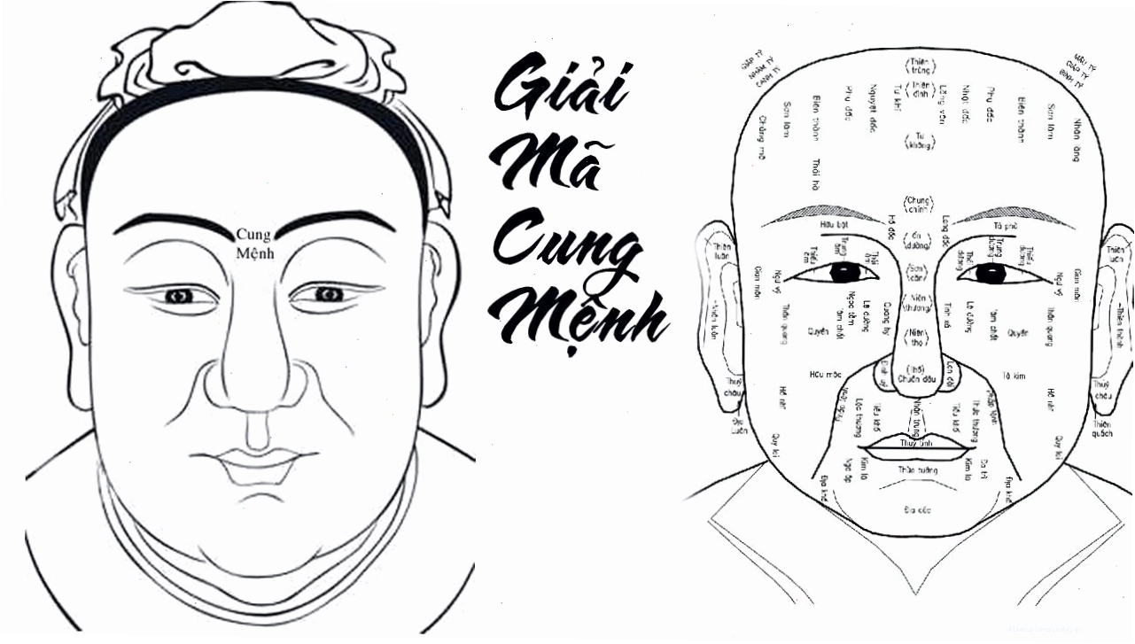 Các cung mệnh trên khuôn mặt như cung tài lộc, cung tình duyên