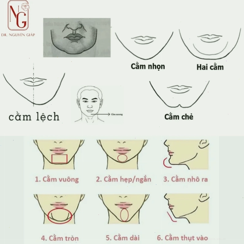 Các loại cằm phổ biến trong nhân tướng học