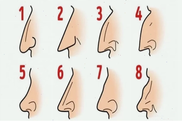 Các loại tướng mũi trong nhân tướng học