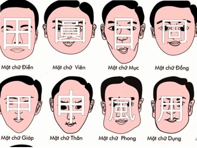 Các yếu tố cấu thành tướng mặt
