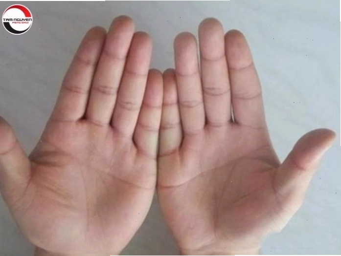 Cách xem tướng qua các ngón tay
