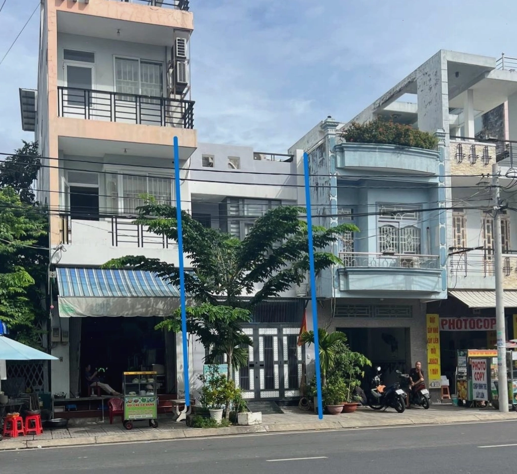 Cách xử lý khi ễnh ương vào nhà theo quan niệm dân gian
