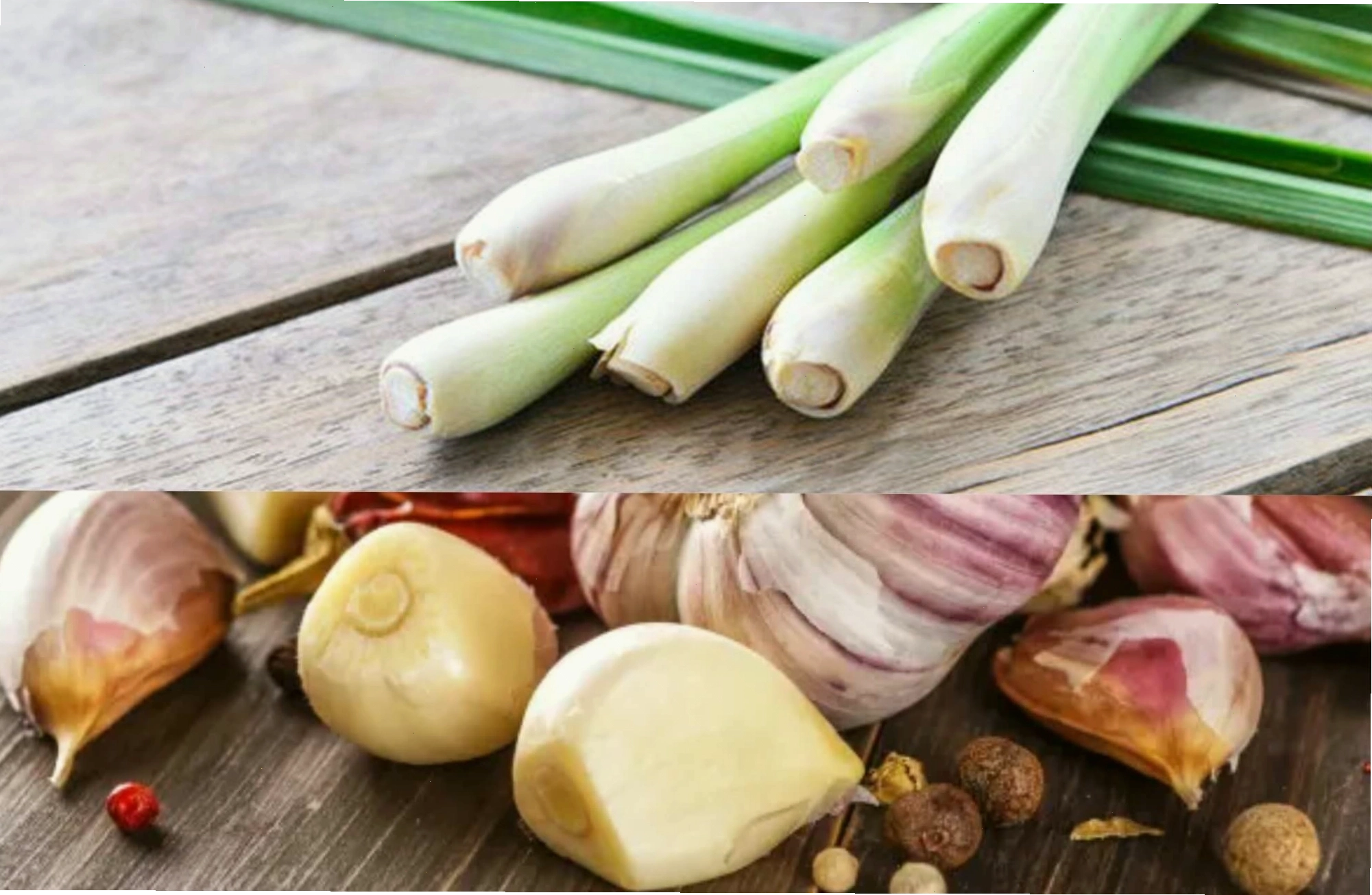 Cách xử lý khi ong bay vào nhà