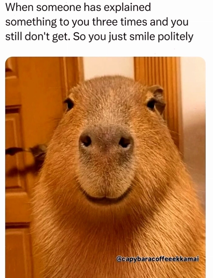 Capybara meme với biểu cảm thản nhiên trong nhiều tình huống khác nhau