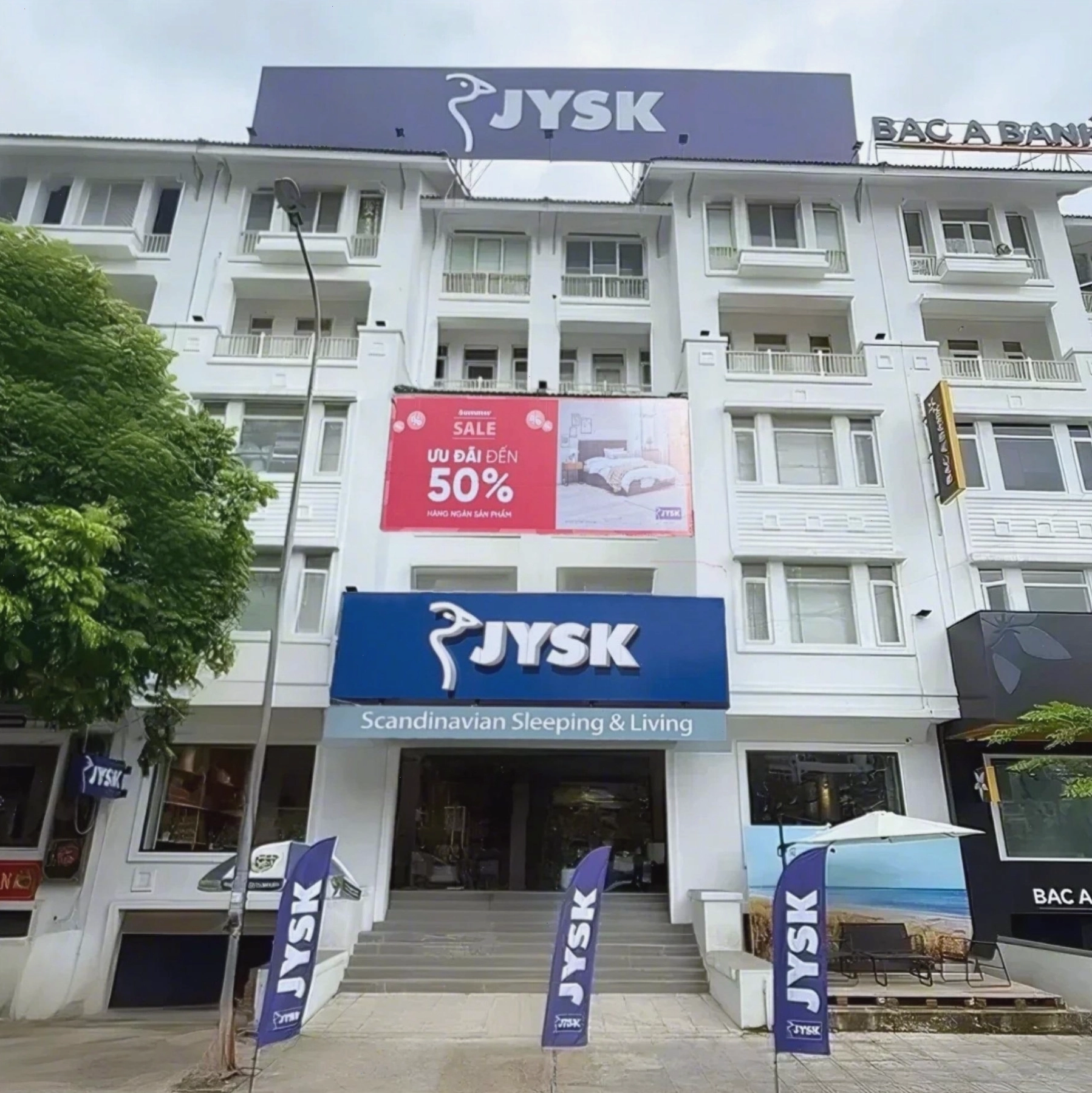 Cây Kim Tiền xanh tốt trên bàn làm việc