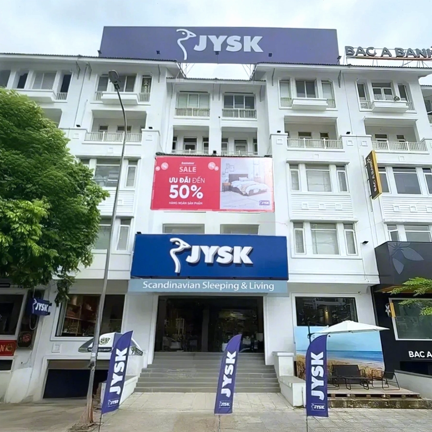 Cây tài lộc phong thủy để bàn với kích thước nhỏ gọn, thích hợp trang trí góc làm việc