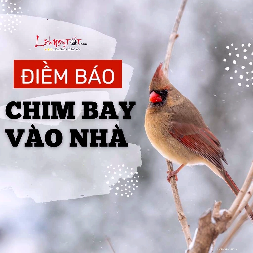 Chim én bay vào nhà mang lại may mắn và tài lộc
