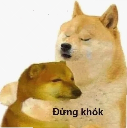 Chú chó Cheems meme hài hước và biểu cảm cực kỳ đáng yêu