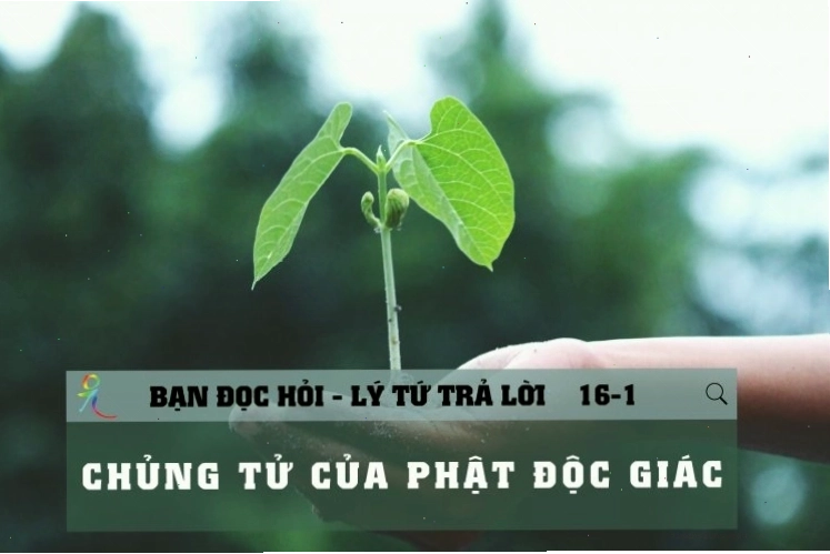 Chủng tử của Phật Độc giác và sự giác ngộ