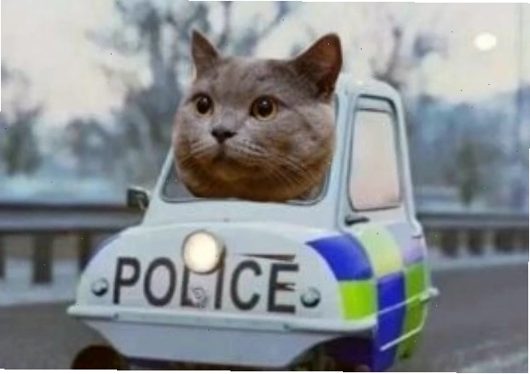 Công an meme (10)