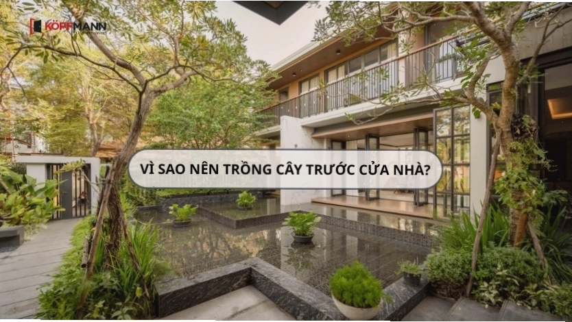 Cửa nhà với khoảng không gian trống thoáng đãng
