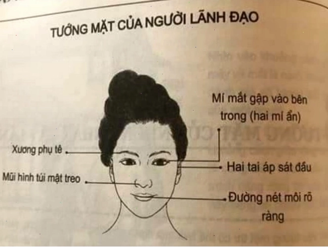 Đặc điểm tướng mặt nữ lãnh đạo