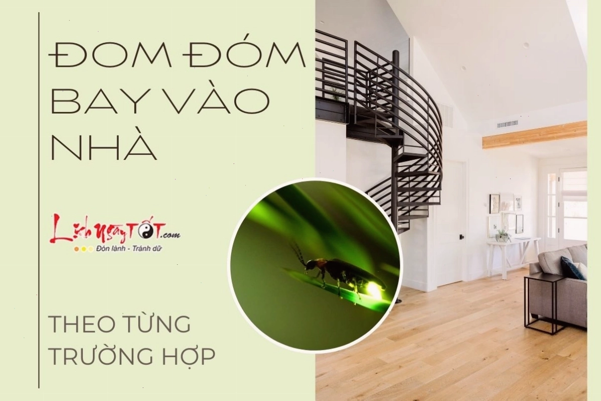Đom đóm vào nhà không phát sáng, có thể là dấu hiệu cần xem xét lại