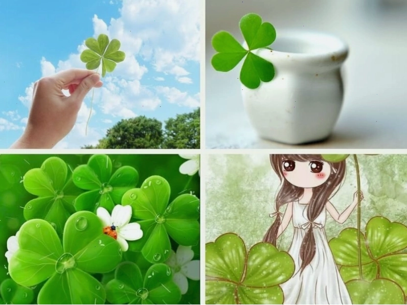 Hình ảnh cỏ 4 lá màu xanh tươi biểu tượng cho may mắn và hy vọng