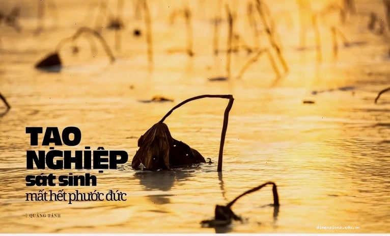 Hình ảnh minh họa sự đau khổ do nghiệp sát sinh