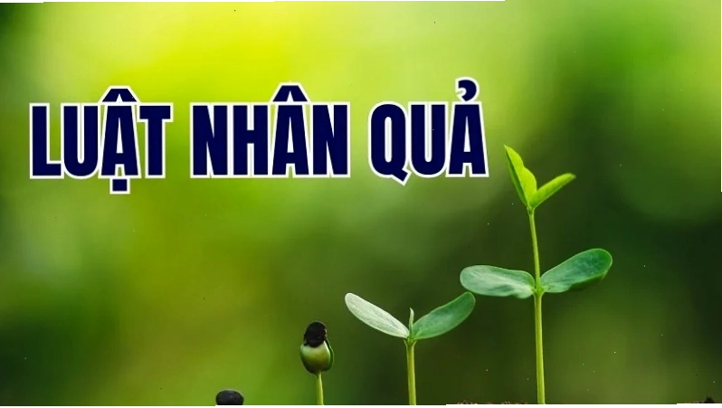 Hình ảnh minh họa về sự kiên trì và hy vọng
