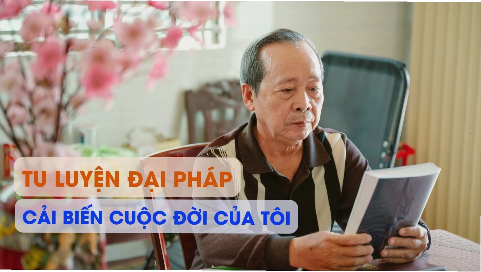 Hình ảnh tượng trưng cho sự thay đổi tích cực trong cuộc sống
