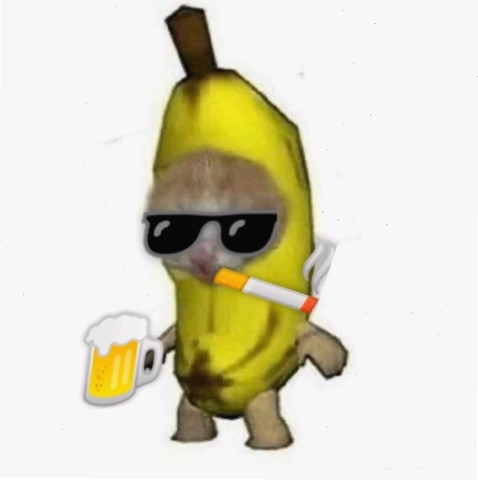 Hình nền chó mèo meme cho người thích vui