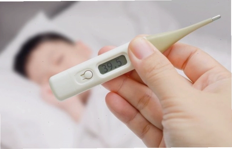 Hướng dẫn xử lý vết thương khi bị chuột cắn an toàn