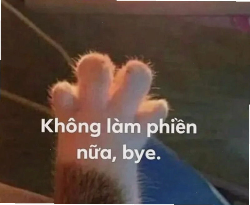 Khoảnh khắc hài hước trong meme tạm biệt