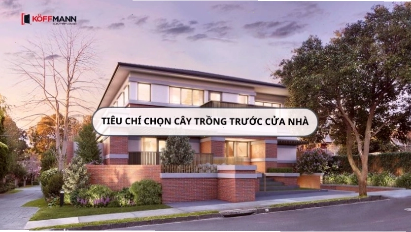 Khu vực sân vườn được bài trí cây xanh và tiểu cảnh