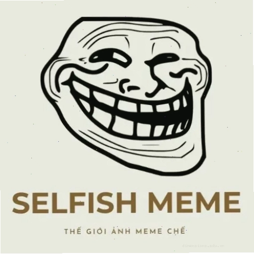 Logo Selfish Meme