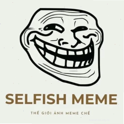 Logo The Selfish Meme