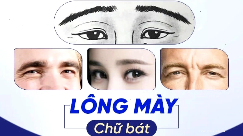 Lông mày chữ Bát với dáng cong nhẹ nhàng