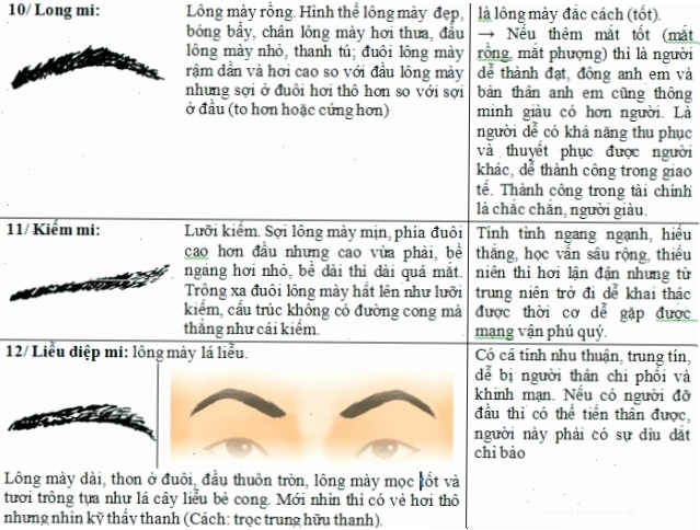 Lông mày dài thon (Liễu Diệp Mi) mang lại vẻ đẹp thanh tú và may mắn