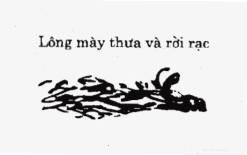 Lông mày ngắn và thưa (Sơ Tán Mi) có thể cho thấy sự thiếu quyết đoán