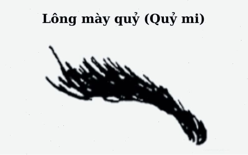 Lông mày quỷ có thể liên quan đến tính cách nóng nảy và gặp thị phi