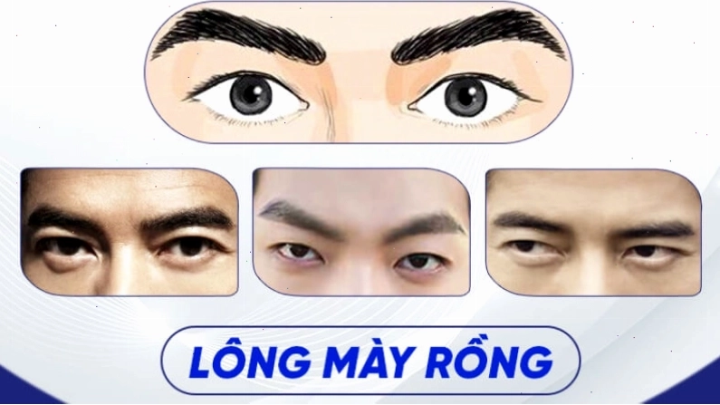 Lông mày rồng của nam giới thể hiện quyền lực và tài lộc