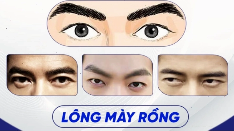 Lông mày rồng của nam giới với sợi dài và cong nhẹ