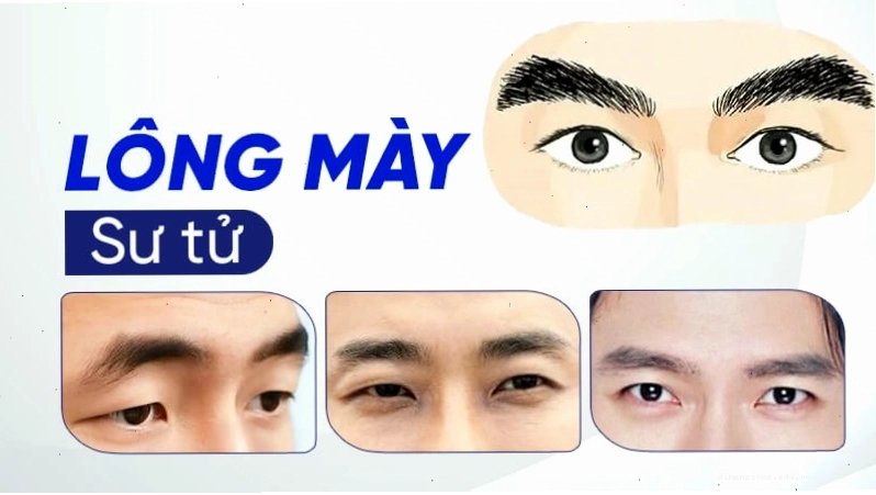 Lông mày sư tử với sợi lông mày to và dày