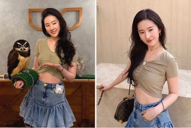 Lưu Diệc Phi tại một sự kiện quốc tế